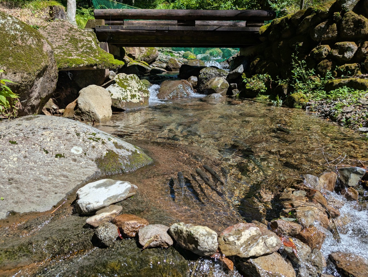 川遊びができる浅い渓流と石の多い水辺の様子