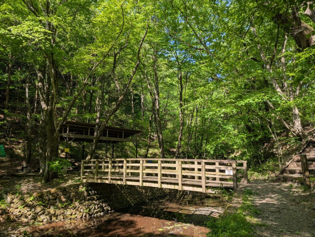 栃木県県民の森宮川渓谷