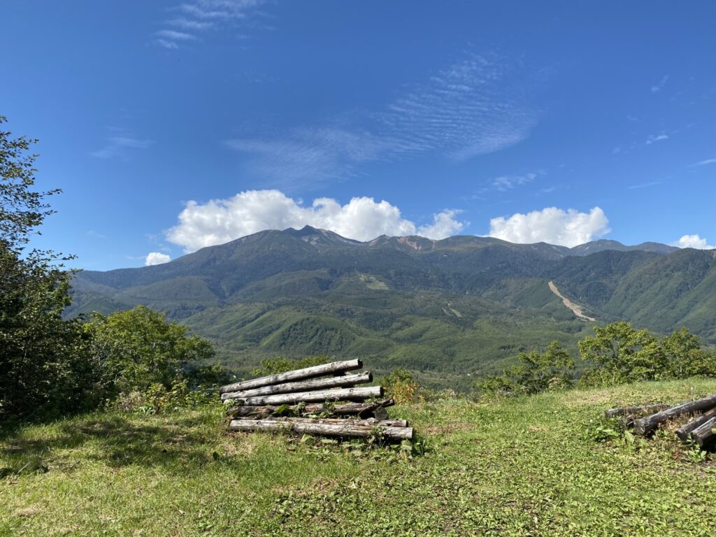 鷹渡り白樺峠