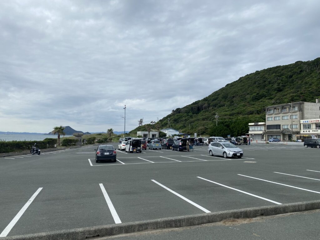 伊良湖岬の鷹渡り