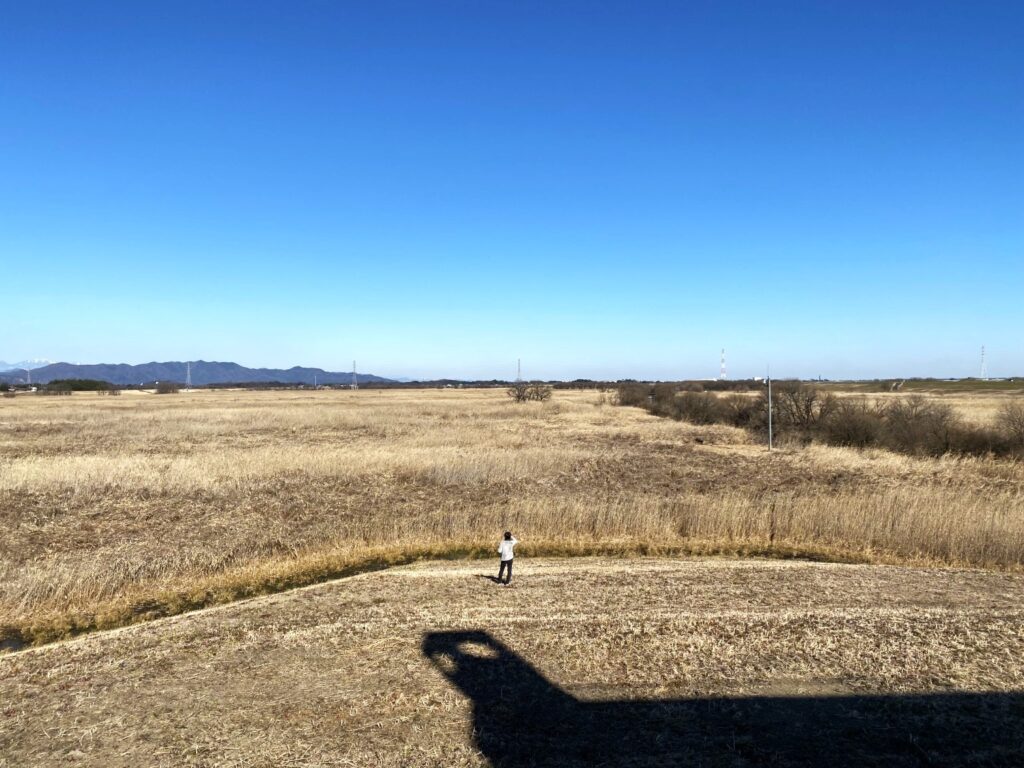 渡良瀬遊水地の風景